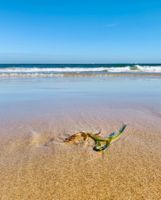 Photo 5 of Poole Branksome Chine