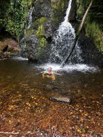 Photo 5 of Fairy Glen Rosemarkie