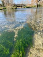 Photo 3 of Steeple Langford