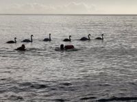 Photo 5 of Porthpean