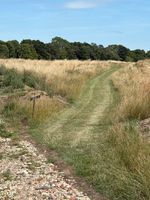 Photo 3 of South Elmham Lakes