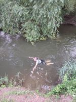 Lugg Meadows