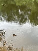 Photo 4 of Breinton, River Wye