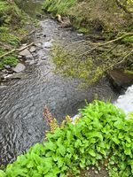 Photo 5 of Ashworth Valley Waterfall