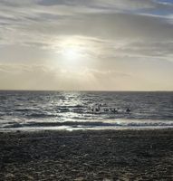 Saltwater, Chalkwell beach
