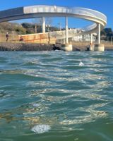 Photo 3 of Gypsy Bridge, Leigh on Sea