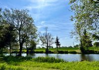 Photo 5 of Chaloner Pond