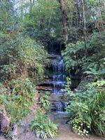Photo 4 of Old Roar Gill &  Coronation Wood