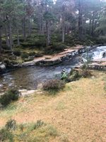 Photo 2 of Linn of Quoich