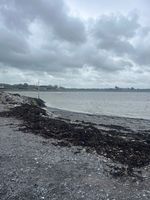 Photo 4 of Renville Pier