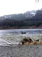 Loch Lubnaig
