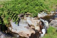 Photo 3 of Wolf's Leap