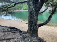 Photo 2 of An Lochan Uaine