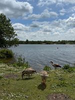 Photo 2 of Wroxham Broad
