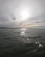 Photo 3 of Dunnet Beach