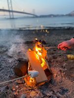 Photo 4 of The Binks