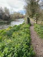 Photo 4 of Axford swim spot