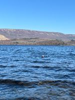 Photo 4 of Culag Beach, Loch Lomond