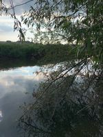 Photo 5 of Essex Bridge