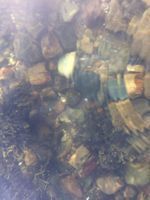 Photo 2 of Cromalt Bay