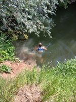 Photo 2 of Lugg Meadows
