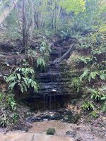 Photo 3 of Old Roar Gill &  Coronation Wood