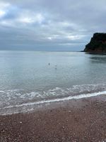 Photo 3 of Teignmouth Back Beach