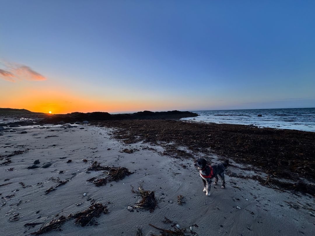 Photo of Kildonan Arran
