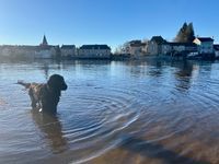 Photo 5 of Beach swim in French village