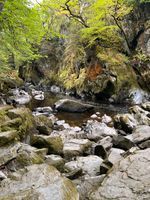 Photo 5 of Fairy Glen, Betws-Y-Coed