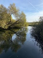 Photo 4 of River Test - Test Lane