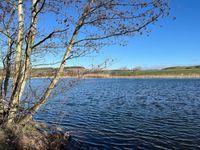 Photo 2 of Eden Springs