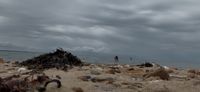 Photo 3 of Shoebury East