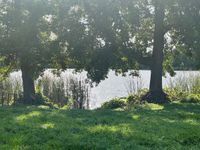 Photo 3 of Hanmer mere