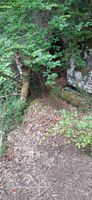 Photo 3 of Invermoriston Falls, Loch Ness