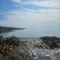 Photo 4 of St Monans Tidal pool