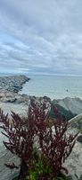 Photo 3 of The Cove Arklow