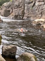 Photo 4 of Rumbling Bridge, River Brann