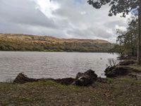 Coniston