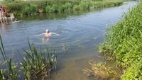 Westover Bridge, Law Lane, Muchelney