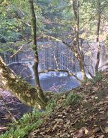 Calder Mill Waterfall