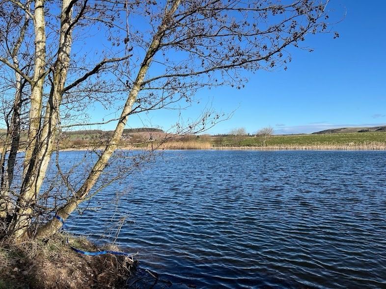 Photo of Eden Springs