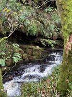 Photo 2 of Dip Pool In The Woods