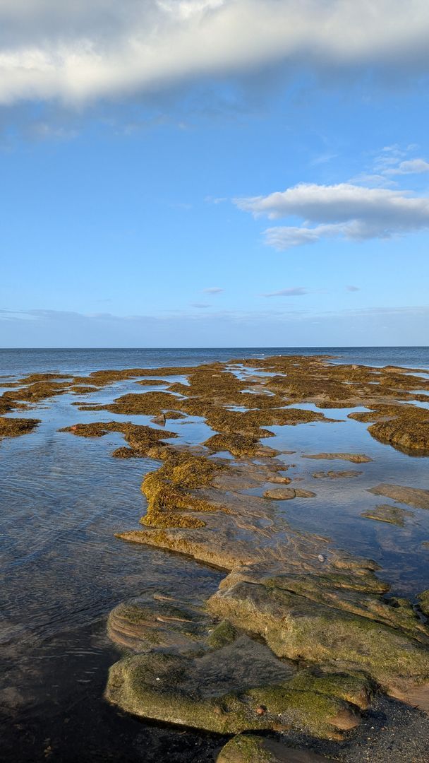 Photo of Beadnell Haven