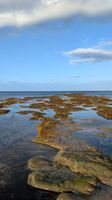 Beadnell Haven