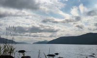 Loch Ness - Dores Forrest