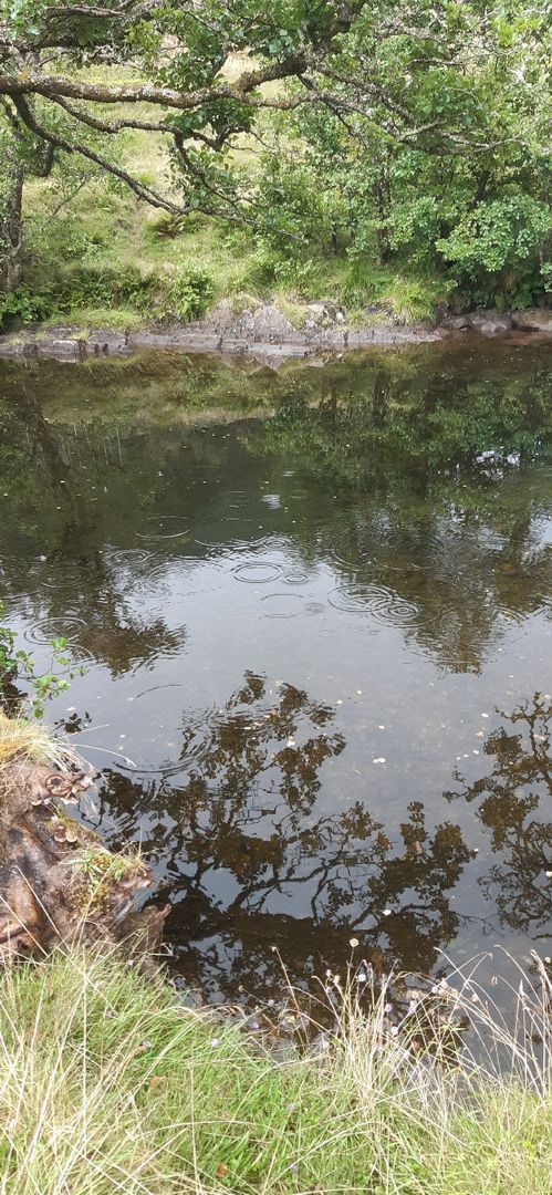 Photo of Swimspot