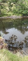Swimspot