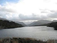 Llyn Padarn, Lone Tree