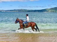 Rathmullen Bay Beach